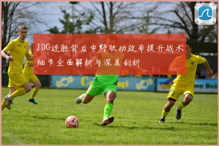 JDG连胜背后中野联动效率提升战术细节全面解析与深度剖析