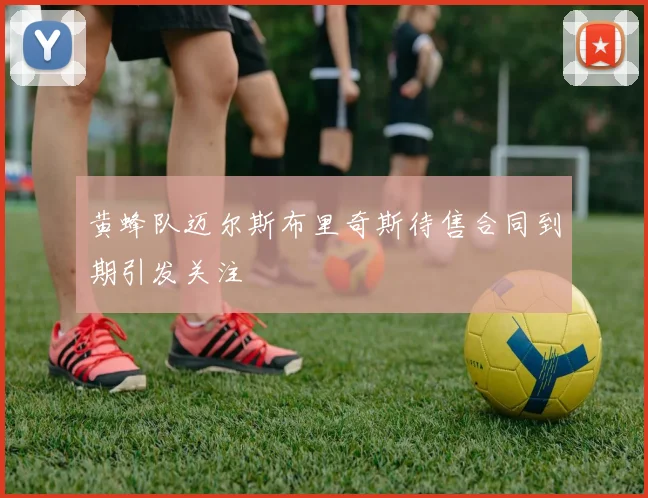 黄蜂队迈尔斯布里奇斯待售合同到期引发关注